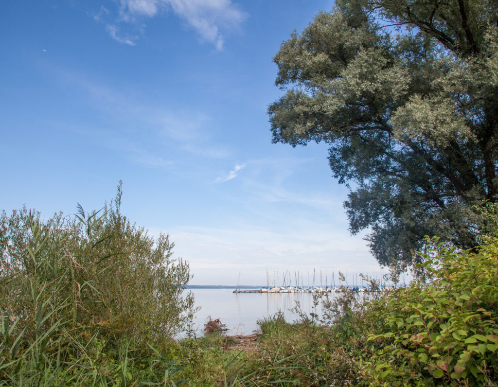 Bodenrichtwerte zum Stichtag 01.01.2022