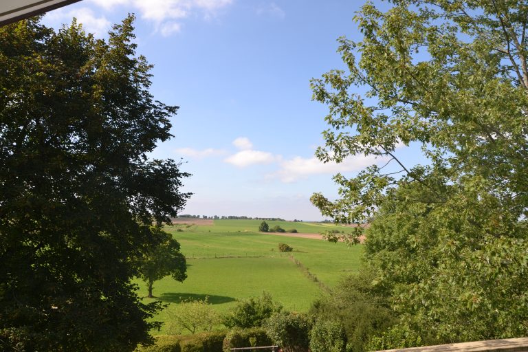 großzügige Dachgeschosswohnung mit herrlichem Blick