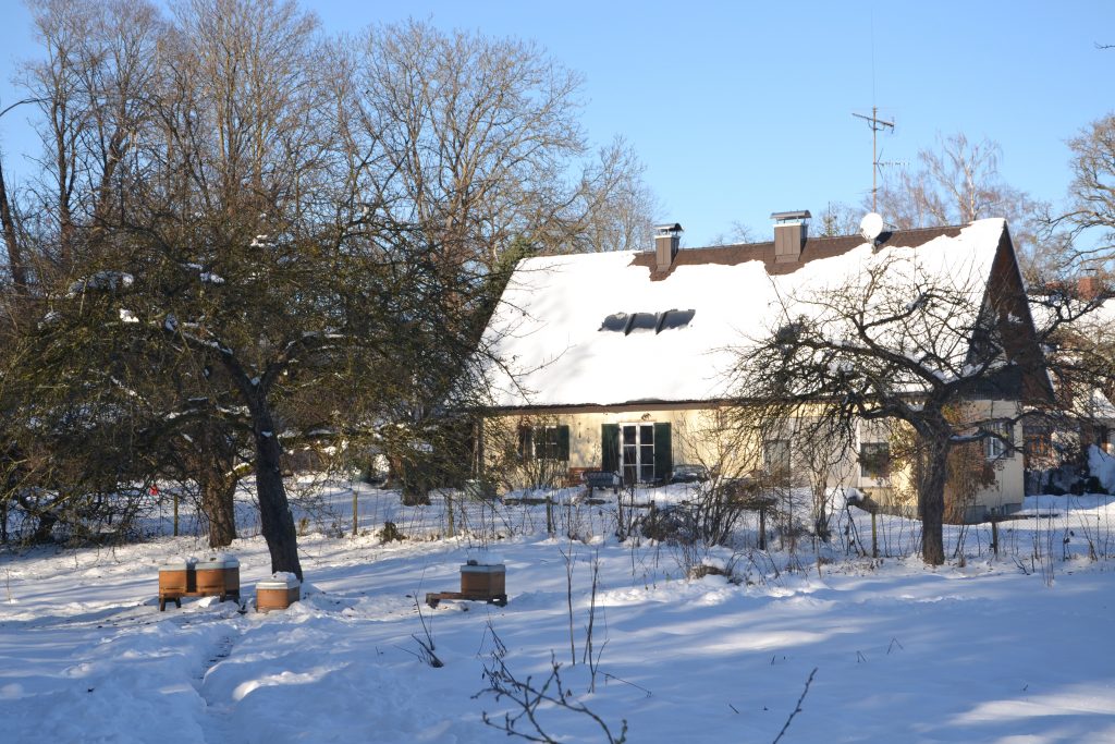 Grundstück im Schnee