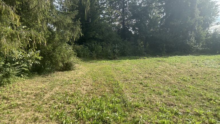 wunderschönes Baugrundstück nur einen Steinwurf vom See entfernt