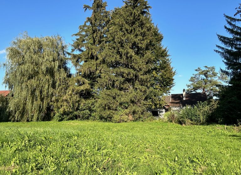 Besser kann man in Dießen nicht wohnen! Ruhiges Baugrundstück in Seenähe